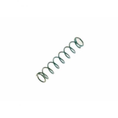 #14 Rotax COMPRESSION SPRING, Green