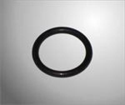 Rotax O-ring for '09 Clutch Bearing
