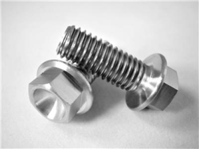Titanium FLANGED Hex Head Bearing Carrier Bolt: 8x1.25mm (Sold Individually)