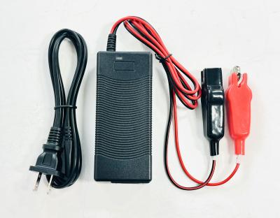 TaG KART Lithium & Lead Acid Battery CHARGER